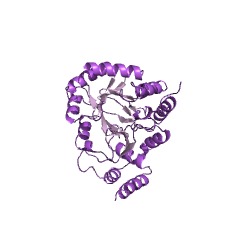 Example Structure of perakine reductase EC#: 1.1.1.317
