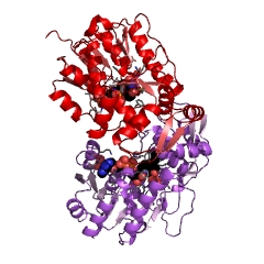 Example Structure of eugenol synthase EC#: 1.1.1.318