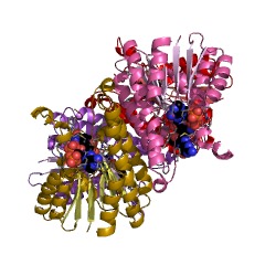 Example Structure of sepiapterin reductase (L-threo-7,8-dihydrobiopterin forming) EC#: 1.1.1.325