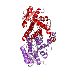 Example Structure of secoisolariciresinol dehydrogenase EC#: 1.1.1.331