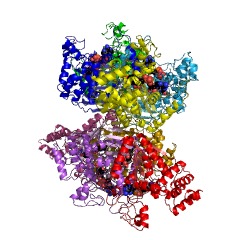 Example Structure of L-2-hydroxycarboxylate dehydrogenase (NAD+) EC#: 1.1.1.337