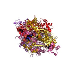 Example Structure of hydroxymethylglutaryl-CoA reductase (NADPH) EC#: 1.1.1.34