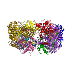 Example Structure of ureidoglycolate dehydrogenase (NAD+) EC#: 1.1.1.350