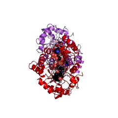 Example Structure of 3alpha-hydroxysteroid 3-dehydrogenase EC#: 1.1.1.357