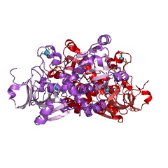 Example Structure of aldose 1-dehydrogenase [NAD(P)+] EC#: 1.1.1.359