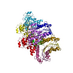 Example Structure of acetoacetyl-CoA reductase EC#: 1.1.1.36