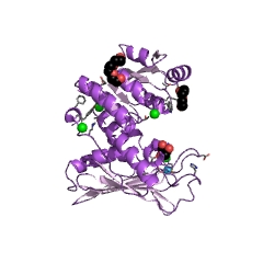 Example Structure of D-chiro-inositol 1-dehydrogenase EC#: 1.1.1.369