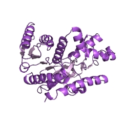 Example Structure of malate dehydrogenase EC#: 1.1.1.37