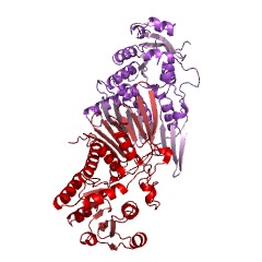 Example Structure of scyllo-inositol 2-dehydrogenase (NADP+) EC#: 1.1.1.371