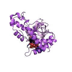 Example Structure of L-2-hydroxycarboxylate dehydrogenase [NAD(P)+] EC#: 1.1.1.375