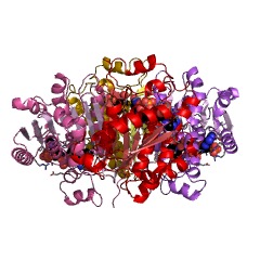 Example Structure of 3-hydroxy acid dehydrogenase EC#: 1.1.1.381