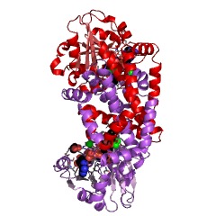 Example Structure of ketol-acid reductoisomerase (NAD+) EC#: 1.1.1.382