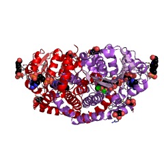 Example Structure of ketol-acid reductoisomerase [NAD(P)+] EC#: 1.1.1.383