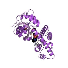 Example Structure of L-serine 3-dehydrogenase (NAD+) EC#: 1.1.1.387