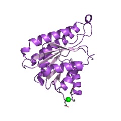 Example Structure of 3alpha-hydroxy bile acid-CoA-ester 3-dehydrogenase EC#: 1.1.1.395
