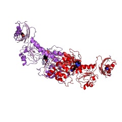 Example Structure of 2-oxoglutarate reductase EC#: 1.1.1.399