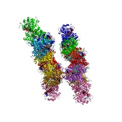Example Structure of malate dehydrogenase (oxaloacetate-decarboxylating) (NADP+) EC#: 1.1.1.40