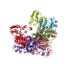 Example Structure of isocitrate dehydrogenase (NAD+) EC#: 1.1.1.41