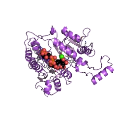 Example Structure of isocitrate dehydrogenase (NADP+) EC#: 1.1.1.42