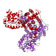 Example Structure of phosphogluconate dehydrogenase (NADP+-dependent, decarboxylating) EC#: 1.1.1.44