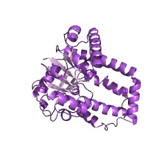 Example Structure of L-gulonate 3-dehydrogenase EC#: 1.1.1.45