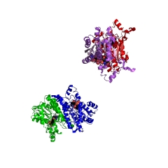 Example Structure of glucose 1-dehydrogenase [NAD(P)+] EC#: 1.1.1.47
