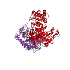 Example Structure of glucose-6-phosphate dehydrogenase (NADP+) EC#: 1.1.1.49