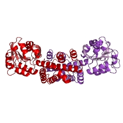 Example Structure of 2-hydroxy-3-oxopropionate reductase EC#: 1.1.1.60