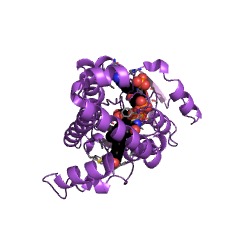 Example Structure of 17beta-estradiol 17-dehydrogenase EC#: 1.1.1.62