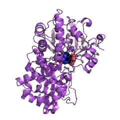 Example Structure of mannitol 2-dehydrogenase EC#: 1.1.1.67