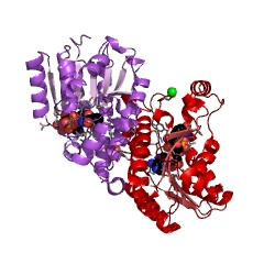 Example Structure of gluconate 5-dehydrogenase EC#: 1.1.1.69