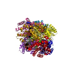 Example Structure of (S,S)-butanediol dehydrogenase EC#: 1.1.1.76