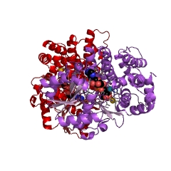 Example Structure of lactaldehyde reductase EC#: 1.1.1.77