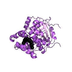 Przykład Struktura dehydrogenazy glicerolo-3-fosforanu (NAD +) EC #: 1.1.1.8