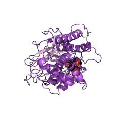 Example Structure of malate dehydrogenase (NADP+) EC#: 1.1.1.82