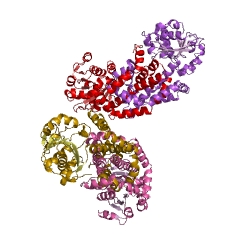 Example Structure of ketol-acid reductoisomerase (NADP+) EC#: 1.1.1.86