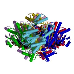 Esempio di struttura di D-xilulosio reduttasi N. CE: 1.1.1.9