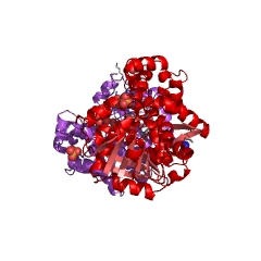 Example Structure of glycerol-3-phosphate dehydrogenase [NAD(P)+] EC#: 1.1.1.94