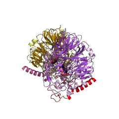 Example Structure of methanol dehydrogenase (cytochrome c) EC#: 1.1.2.7