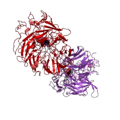 Example Structure of alcohol dehydrogenase (cytochrome c) EC#: 1.1.2.8