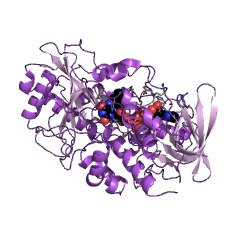 Example Structure of pyridoxine 4-oxidase EC#: 1.1.3.12
