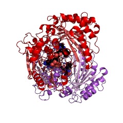 Example Structure of alcohol oxidase EC#: 1.1.3.13