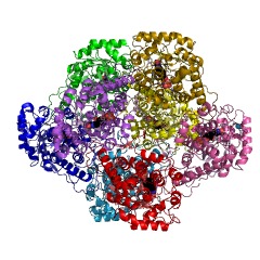 Example Structure of L-lactate oxidase EC#: 1.1.3.2