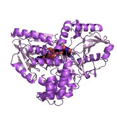 Example Structure of glycerol-3-phosphate oxidase EC#: 1.1.3.21