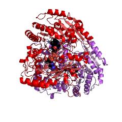 Example Structure of vanillyl-alcohol oxidase EC#: 1.1.3.38