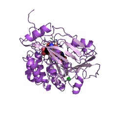 Example Structure of alditol oxidase EC#: 1.1.3.41