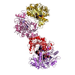 Example Structure of aclacinomycin-N oxidase EC#: 1.1.3.45