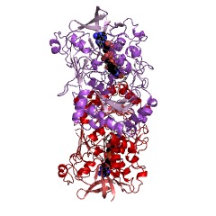 Example Structure of 5-(hydroxymethyl)furfural oxidase EC#: 1.1.3.47