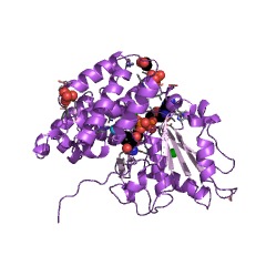 Example Structure of 3-deoxy-alpha-D-manno-octulosonate 8-oxidase EC#: 1.1.3.48