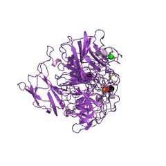 Example Structure of galactose oxidase EC#: 1.1.3.9